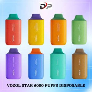 VOZOL STAR 6000 PUFFS BEST DISPOSABLE VAPE DUBAI