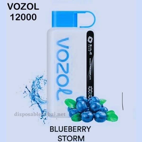 Vozol Star 12000 Puffs Blueberry Storm Disposable Vape In Dubai, Ajman, UAE