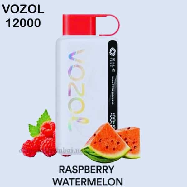 Vozol Star 12000 Puffs Raspberry Watermelon Disposable Vape In Dubai, Ajman, UAE